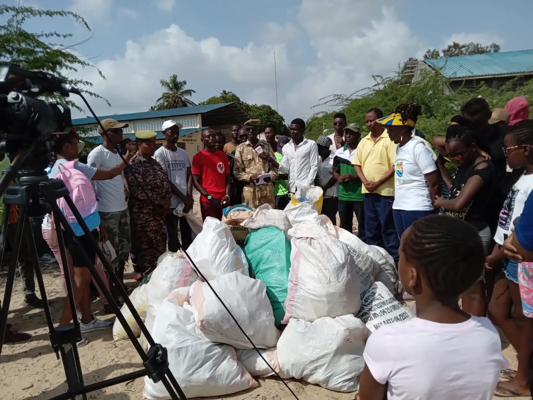 Volunteer Activity 1